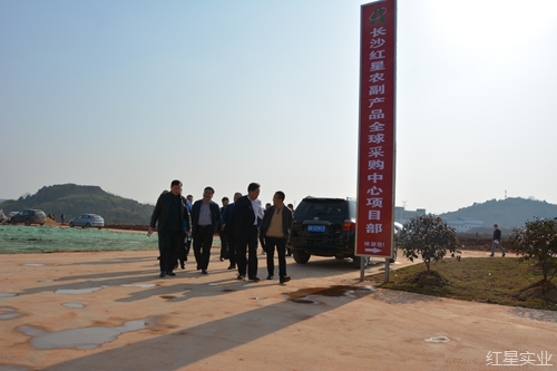 实地调研项目建设 现场办公破解难题1