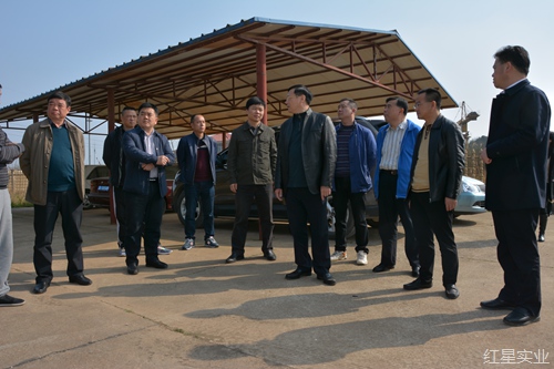 实地调研项目建设 现场办公破解难题2